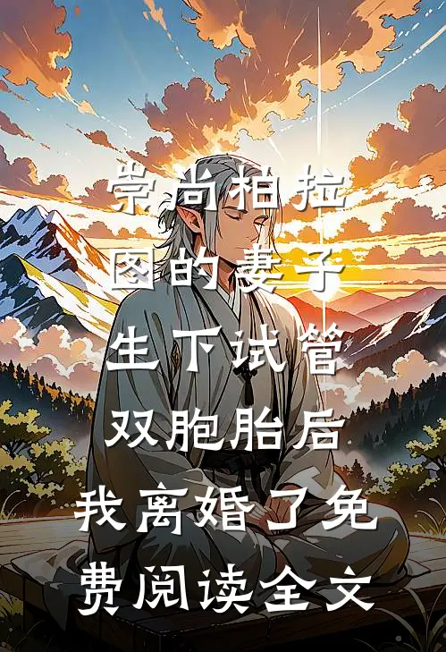 崇尚柏拉图的妻子生下试管双胞胎后，我离婚了免费阅读全文