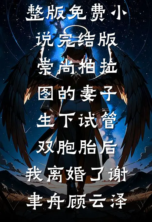 崇尚柏拉图的妻子生下试管双胞胎后，我离婚了(谢聿舟顾云泽)免费小说完整版_免费小说完结版崇尚柏拉图的妻子生下试管双胞胎后，我离婚了(谢聿舟顾云泽)