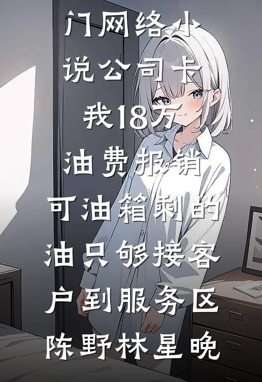 公司卡我18万油费报销，可油箱剩的油只够接客户到服务区陈野林星晚热门小说在线阅读_热门网络小说公司卡我18万油费报销，可油箱剩的油只够接客户到服务区陈野林星晚