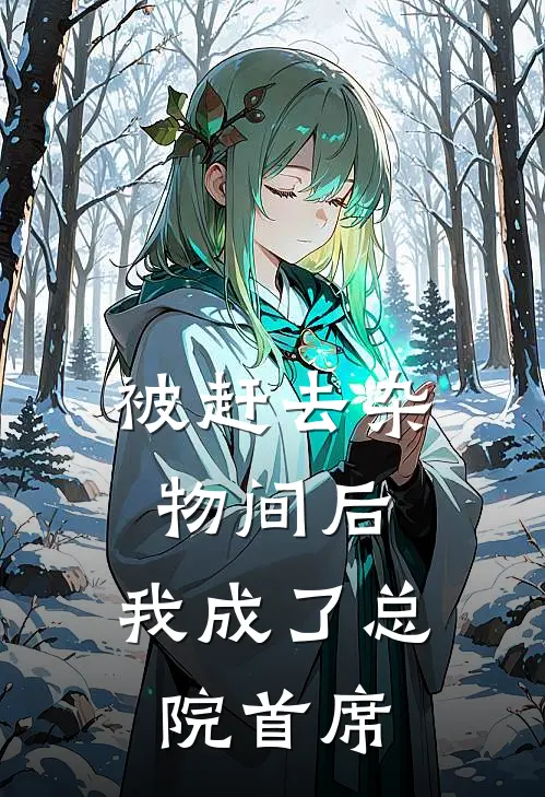 被赶去杂物间后，我成了总院首席