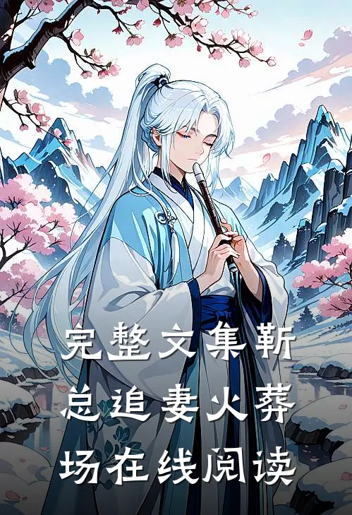 完整文集靳总追妻火葬场在线阅读