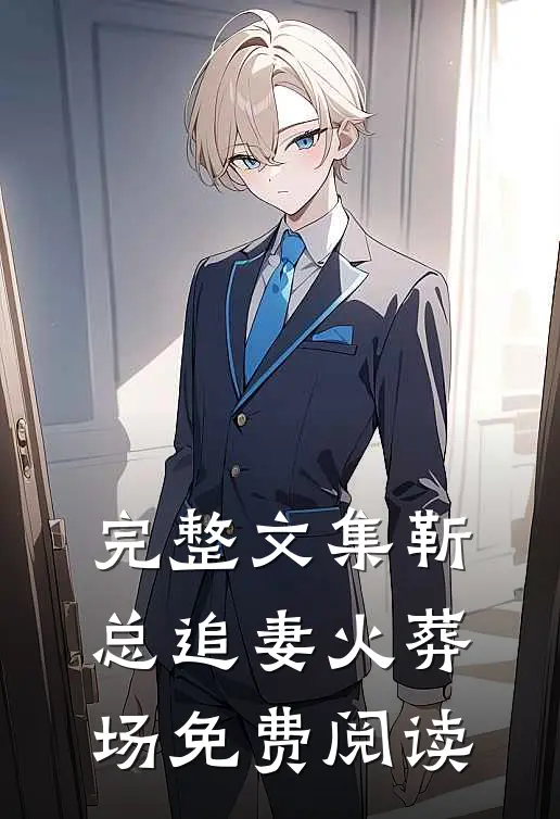 完整文集靳总追妻火葬场免费阅读