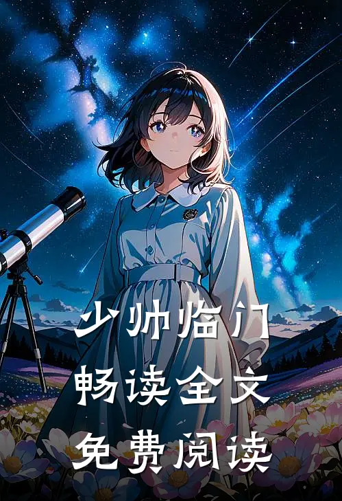 少帅临门畅读全文免费阅读