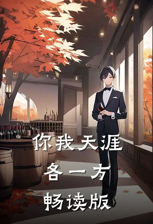 你我天涯各一方畅读版