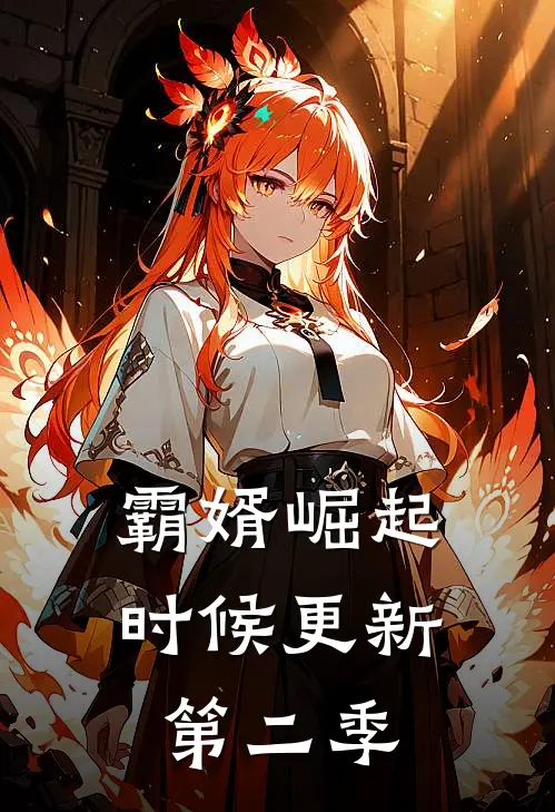 霸婿崛起时候更新第二季