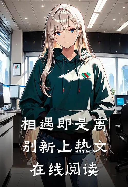 相遇即是离别新上热文在线阅读