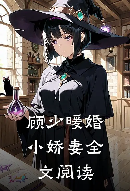 顾少暖婚小娇妻全文阅读