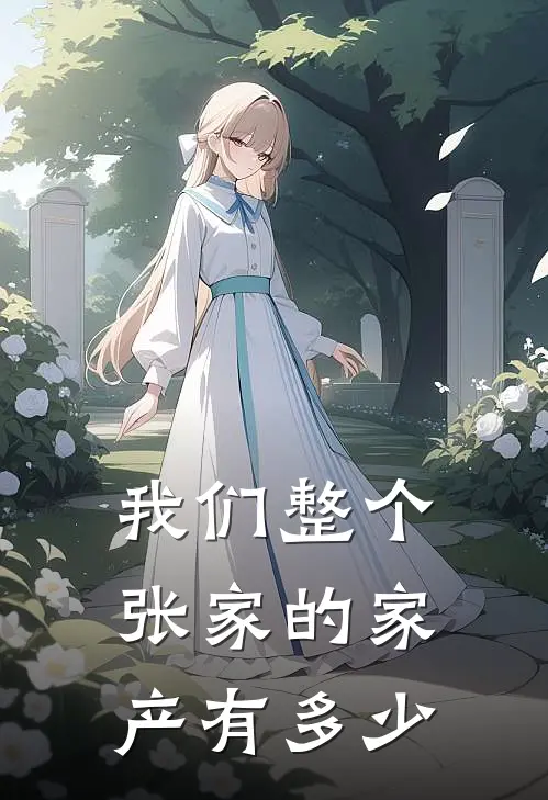 我们整个张家的家产有多少
