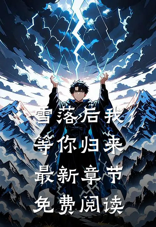 雪落后我等你归来最新章节免费阅读