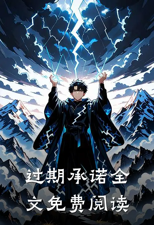 过期承诺全文免费阅读