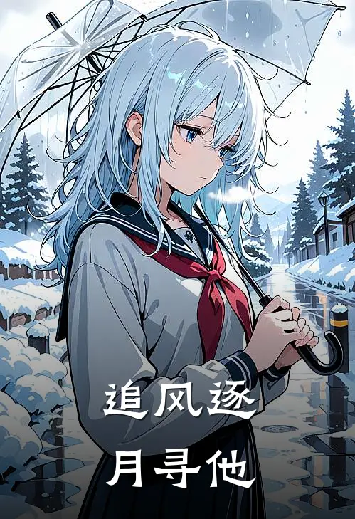 追风逐月寻他宋清欢秦时臻