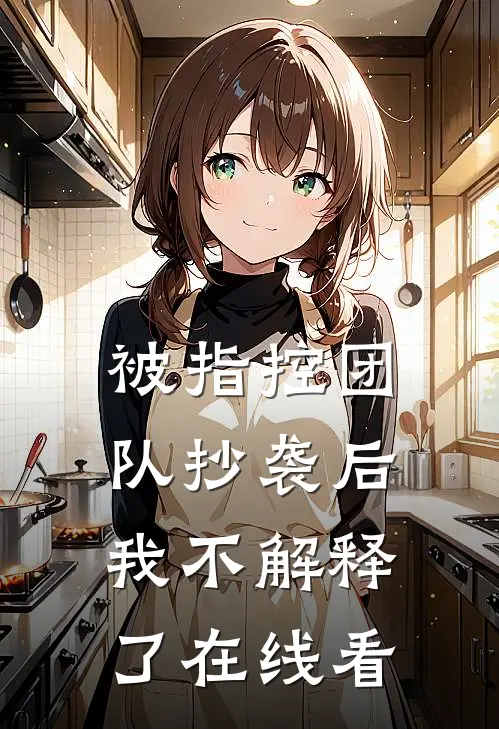 被指控团队抄袭后，我不解释了在线看