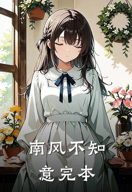 南风不知意完本