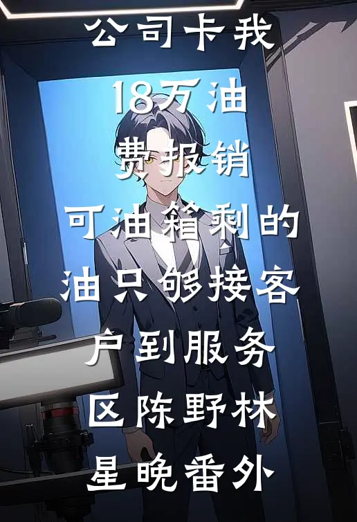 公司卡我18万油费报销，可油箱剩的油只够接客户到服务区陈野林星晚番外