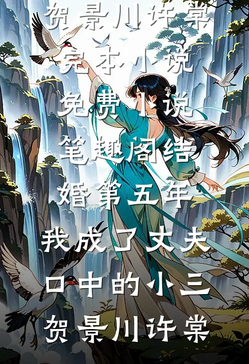 结婚第五年，我成了丈夫口中的小三贺景川许棠完本小说_免费小说笔趣阁结婚第五年，我成了丈夫口中的小三(贺景川许棠)