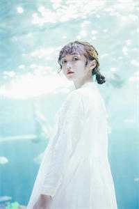 纵情热吻的小说