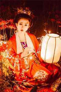 青灯掌旧颜精选