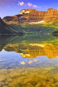 谁与明月共度韶华新上热文