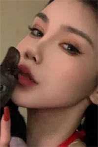 那年桃花落君前林疏影沈砚大结局