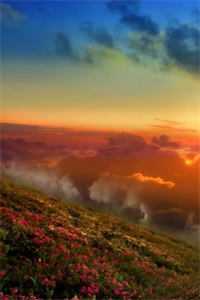 朝来寒雨晚来风目录