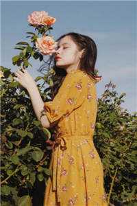 从此不敢见繁花前文+