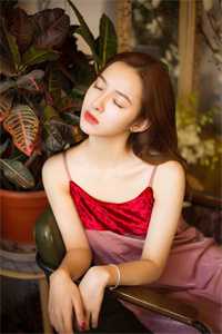 雨打窗的深夜无删减+无广告