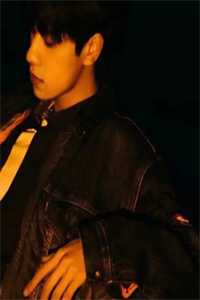 一念成坟，爱恨皆烬高质量好文