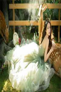 许你一场流星愿后续+无弹窗