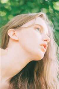 风停后无人归全文无删减