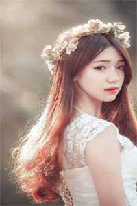 惊鸿不曾照影来完结