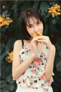 那年春天，海棠花未眠小说