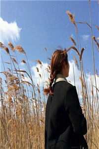 真情躲不开！陛下天天求偶遇笔趣阁