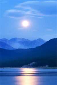 流产三次后，我掀翻京圈全员恶人精修版