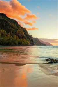 梦醒方知相思重宋晚凝厉霆川完结文