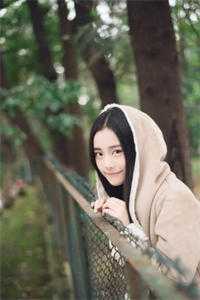 青灯掌旧颜全篇