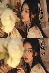 关雎洲上雪泷纱小说全文免费阅读