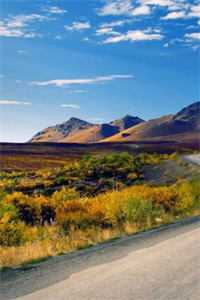 春衫烬灭暮雪停全本