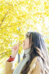 婚后三年，被她渣过的疯狗回国了无错版