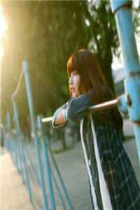 爱意年年与恨长小说免费阅读