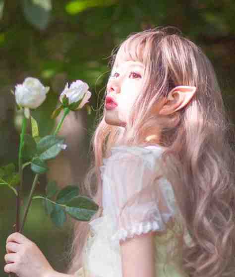 千帆过尽，此生非晚的小说