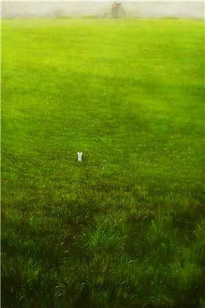 破镜难重圆，你我不相念全章阅读