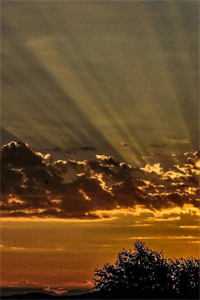 笨蛋貌美表妹觉醒后只想跑路前文+后续