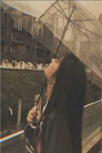 你是人间荒唐一场傅沉舟林知意番外