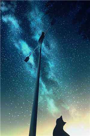 领导他白天装不熟，晚上亲不够抖音