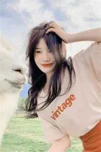 昨天过往皆可丢，今朝卜卦问佛来全球完整文集