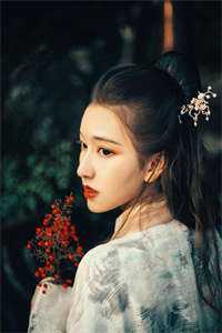 许你一场流星愿完结txt