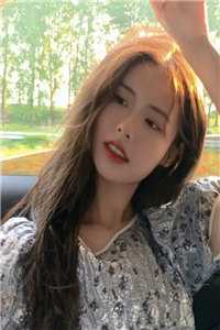 风停意难平全集