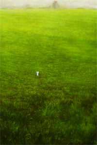 予风予月不予你小说大结局