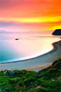 被卖逃生，俏奶娘被糙汉宠上天好书