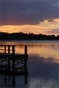 不喜春来过，逝去人不知免费看